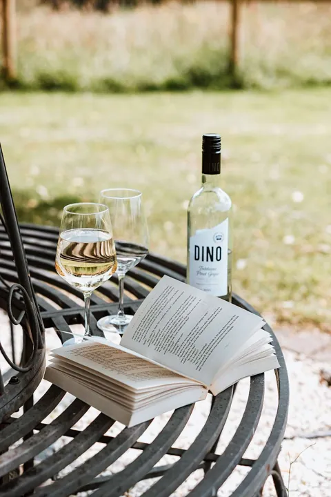 A paperback and a glass of white wine on the round bench under the silver birch
